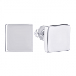 Серьги из серебра пусеты 6790008039517 Серьги (Ag 925)